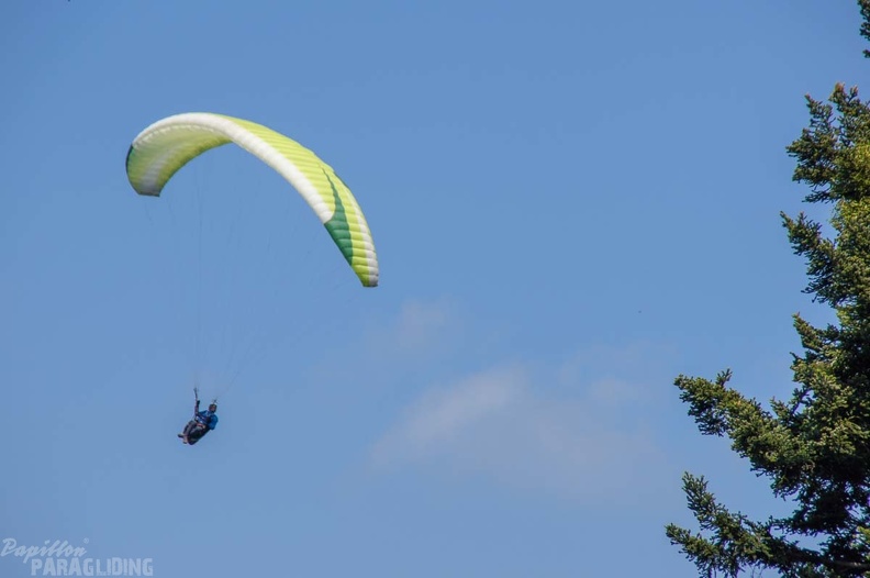 Annecy Papillon-Paragliding-373