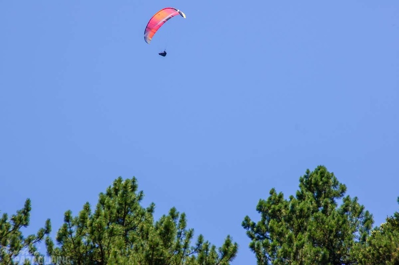 Annecy Papillon-Paragliding-450