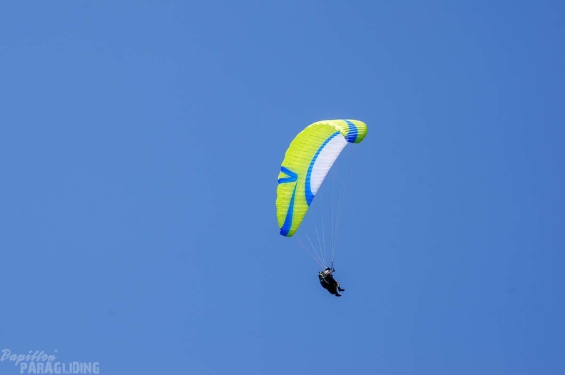 Annecy Papillon-Paragliding-460