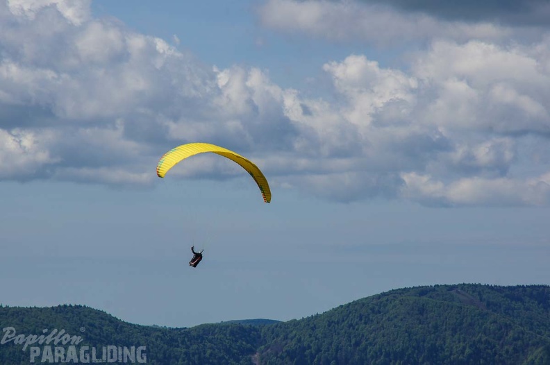 FE21.17_Vogesen-Paragliding-136.jpg