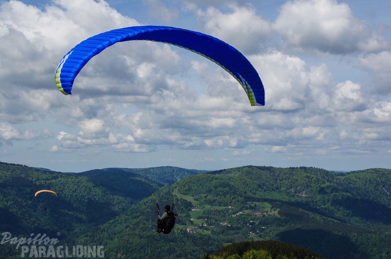 FE21.17_Vogesen-Paragliding-187.jpg