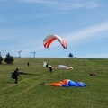 FE21.17 Vogesen-Paragliding-333