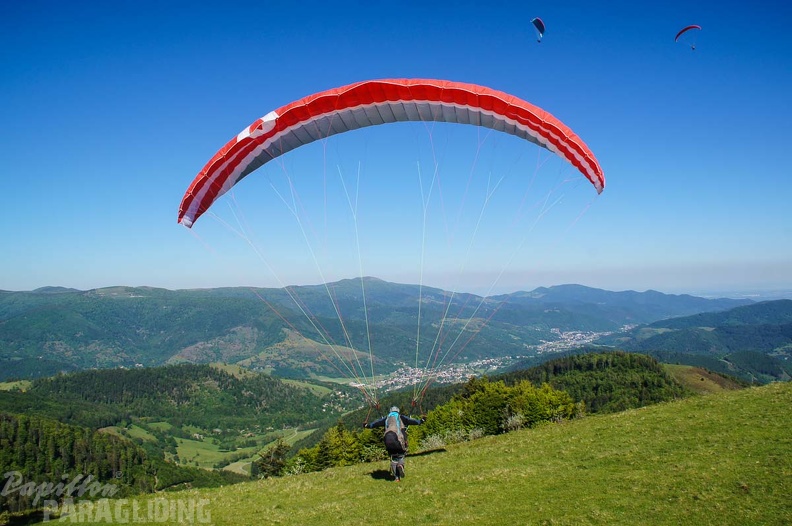 FE21.17_Vogesen-Paragliding-374.jpg