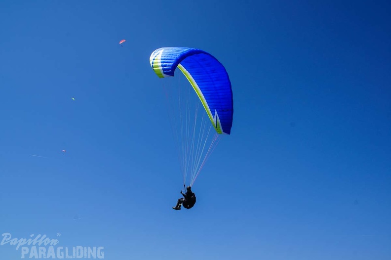 FE21.17_Vogesen-Paragliding-435.jpg
