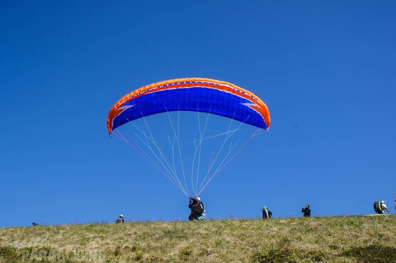 FE21.17 Vogesen-Paragliding-437