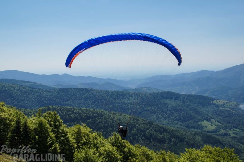 FE21.17 Vogesen-Paragliding-441