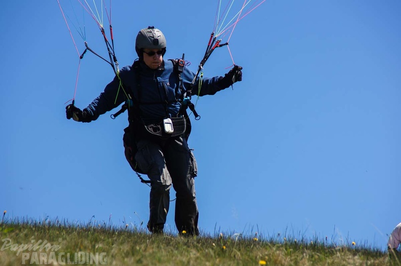 FE21.17 Vogesen-Paragliding-458