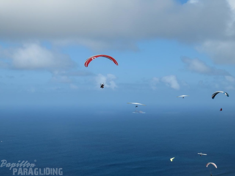 lanzarote-paragliding-133