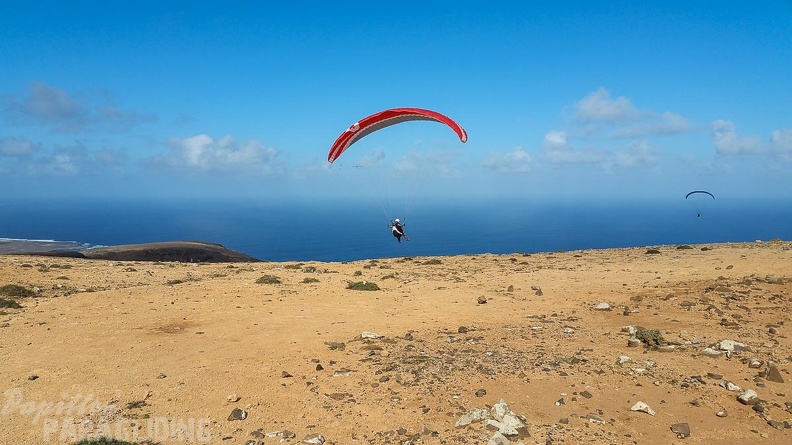 lanzarote-paragliding-155