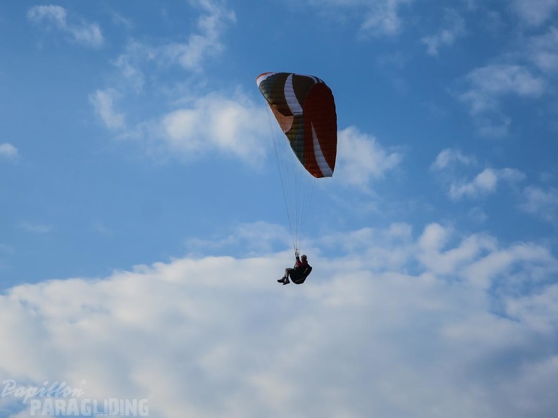 FL36.16-Paragliding-1100.jpg
