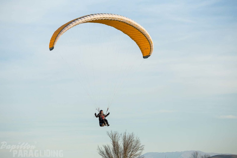 fgp9.20_papillon_griechenland-paragliding-335.jpg