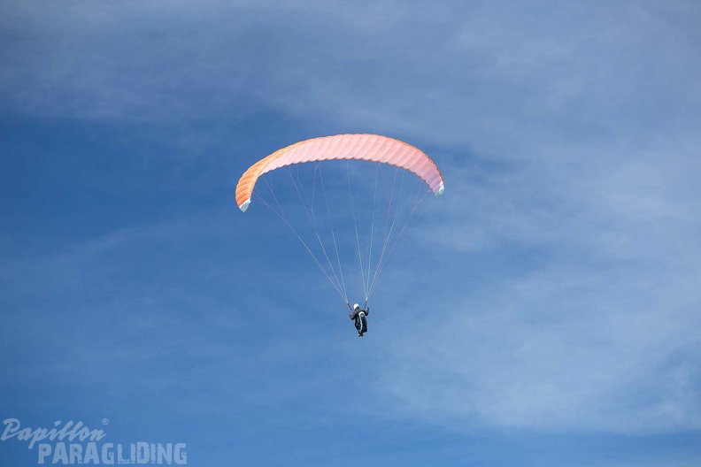 fgp9.20 papillon griechenland-paragliding-490