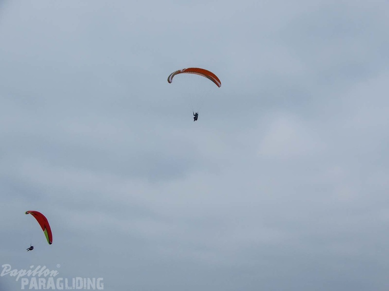 FPG_2017-Portugal-Paragliding-Papillon-311.jpg
