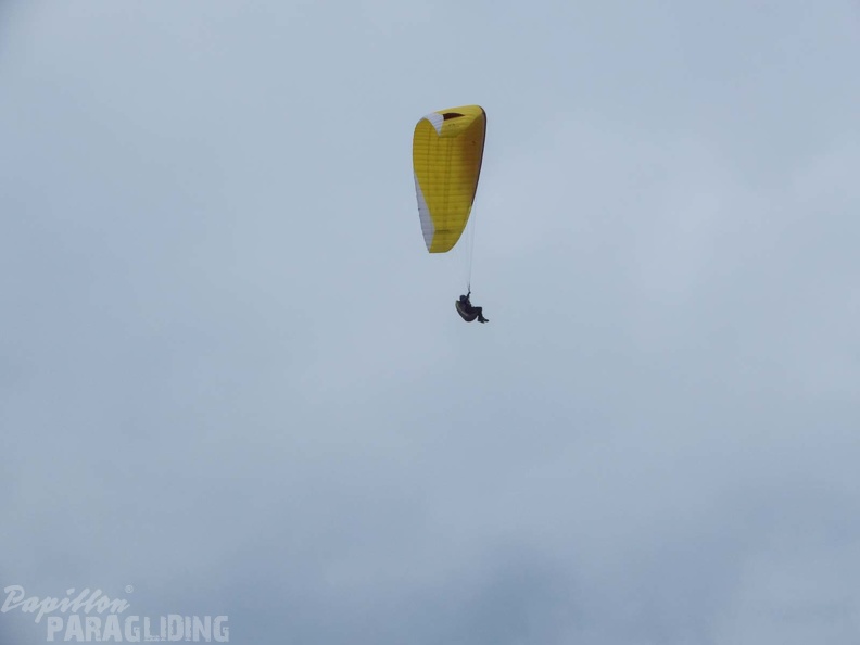 FPG_2017-Portugal-Paragliding-Papillon-329.jpg