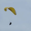 FPG 2017-Portugal-Paragliding-Papillon-331