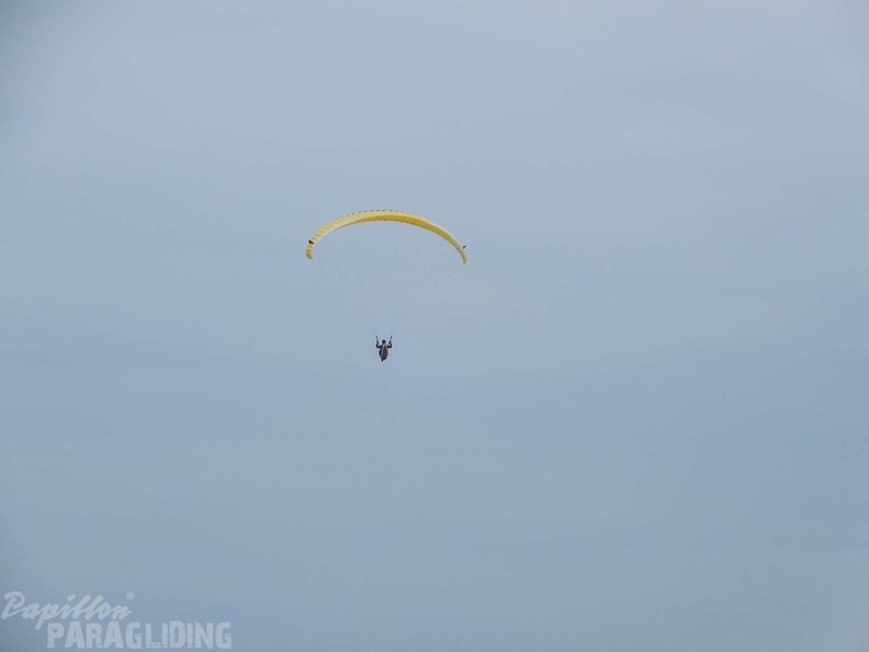 FPG_2017-Portugal-Paragliding-Papillon-334.jpg