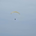 FPG 2017-Portugal-Paragliding-Papillon-334