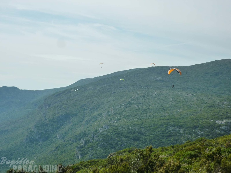 FPG 2017-Portugal-Paragliding-Papillon-365