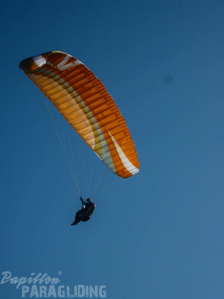 FPG 2017-Portugal-Paragliding-Papillon-482
