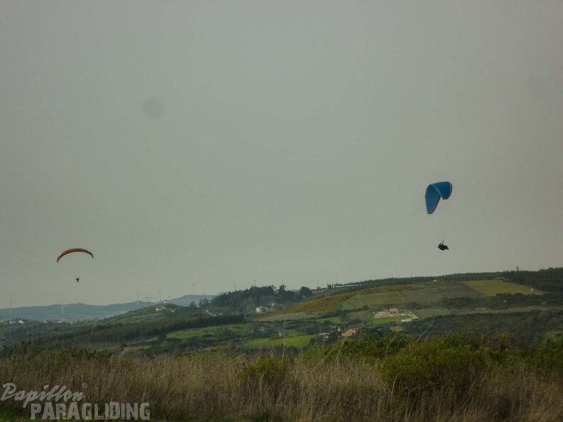 FPG_2017-Portugal-Paragliding-Papillon-598.jpg