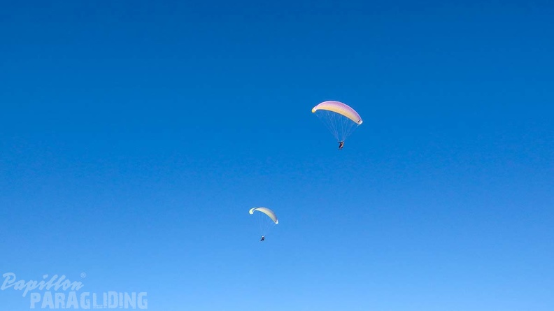 FPG7.18_Paragliding-Portugal-112.jpg