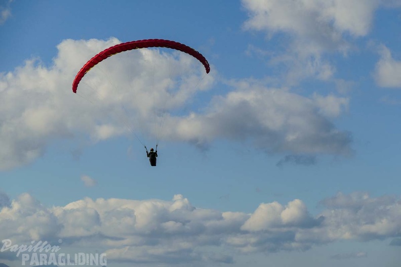 FSI47.17_Sizilien-Paragliding-182.jpg