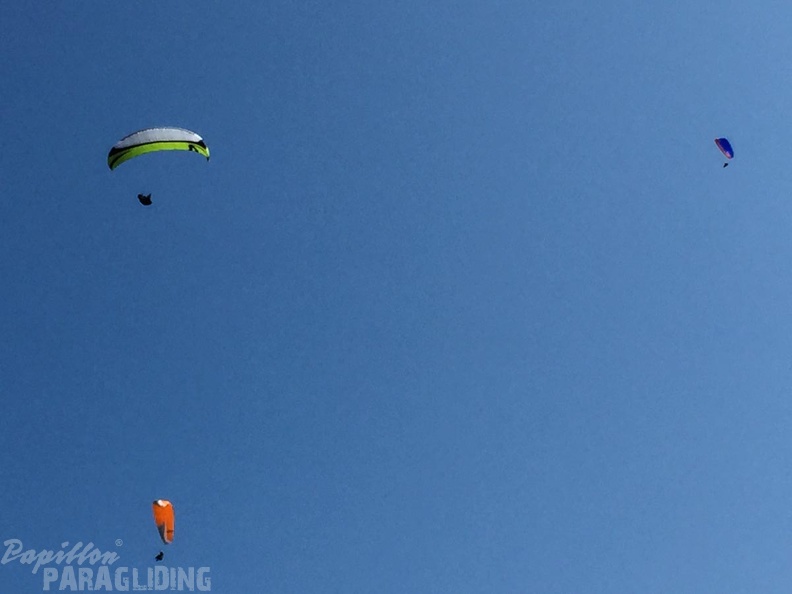 FSB30.15_Paragliding-Bled.jpg-1197.jpg