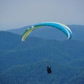 FS19.17 Slowenien-Paragliding-Papillon-375