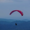 FS19.17 Slowenien-Paragliding-Papillon-386