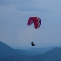 FS19.17 Slowenien-Paragliding-Papillon-387