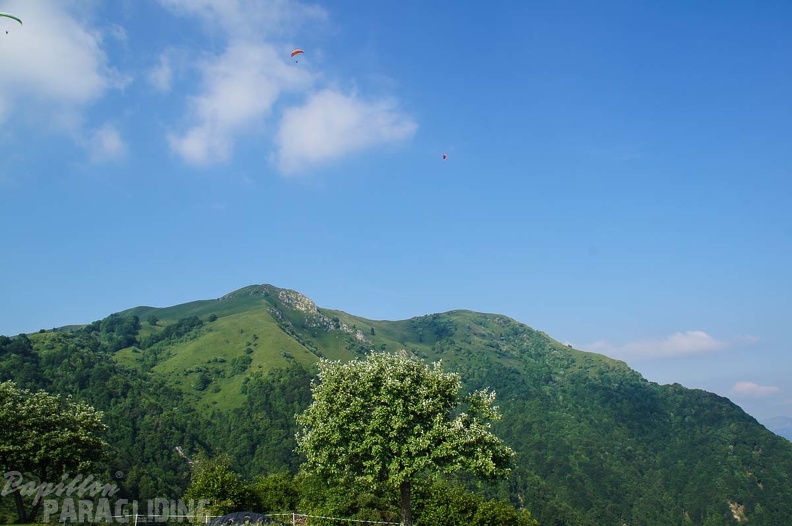 FS24.17 Slowenien-Paragliding-Papillon-220