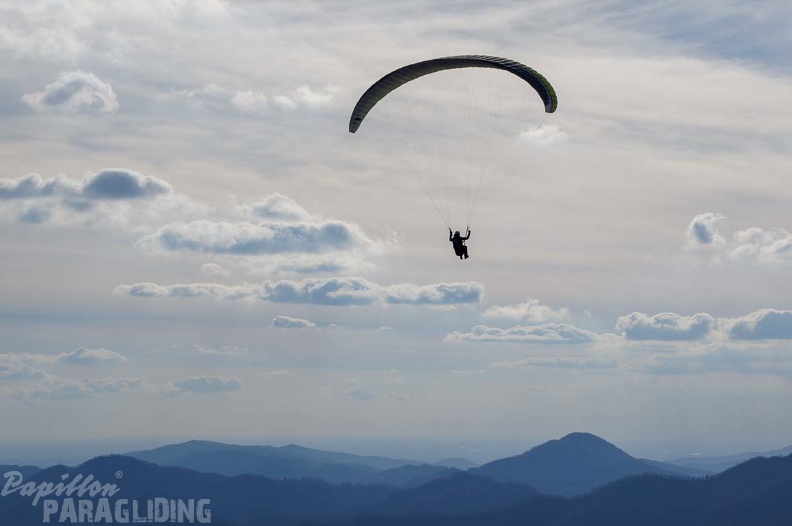 FS14.18 Slowenien-Paragliding-144