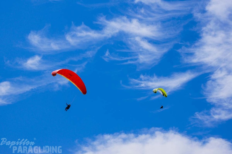 FS22.19 Slowenien-Paragliding-171