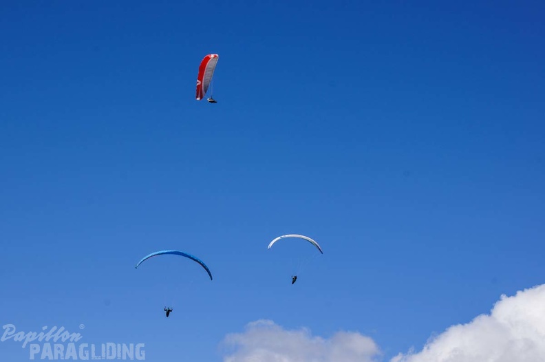 FX35.17_St-Andre_Paragliding-323.jpg