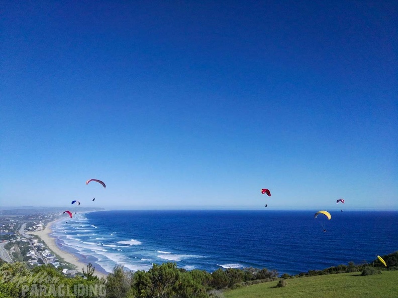 Paragliding Suedafrika FN5.17-160