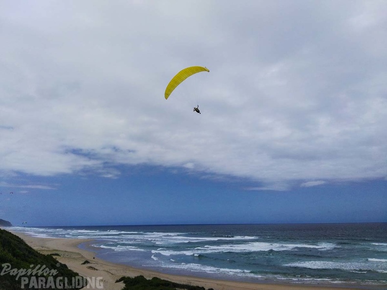 Paragliding Suedafrika FN5.17-178