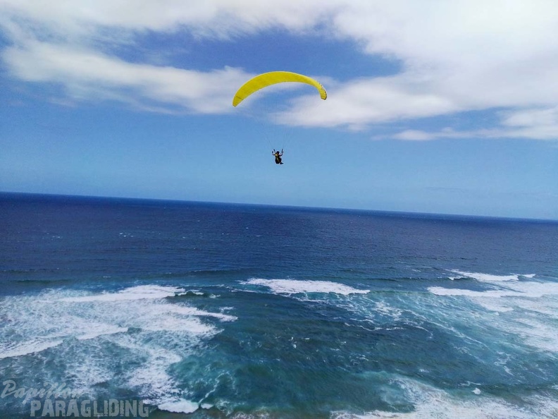 Paragliding_Suedafrika_FN5.17-201.jpg