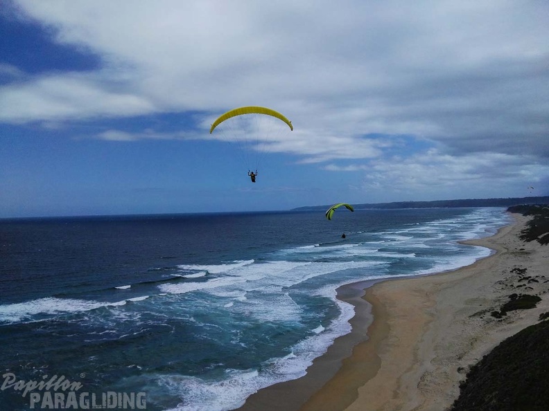 Paragliding Suedafrika FN5.17-203