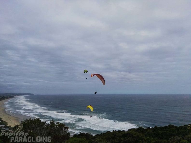 Paragliding Suedafrika FN5.17-411