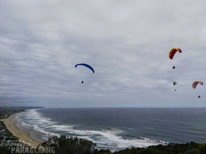 Paragliding_Suedafrika_FN5.17-416.jpg