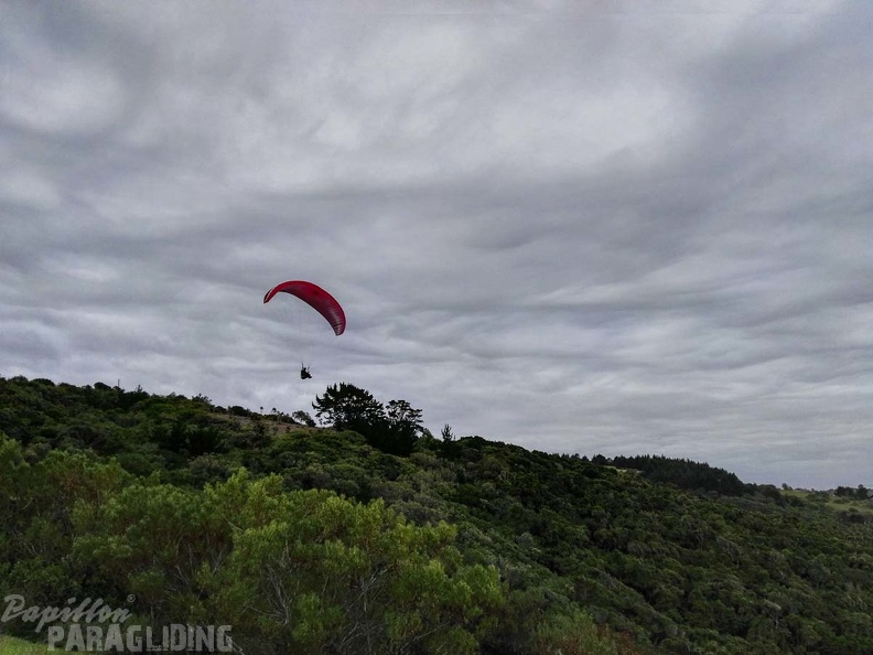 Paragliding Suedafrika FN5.17-425