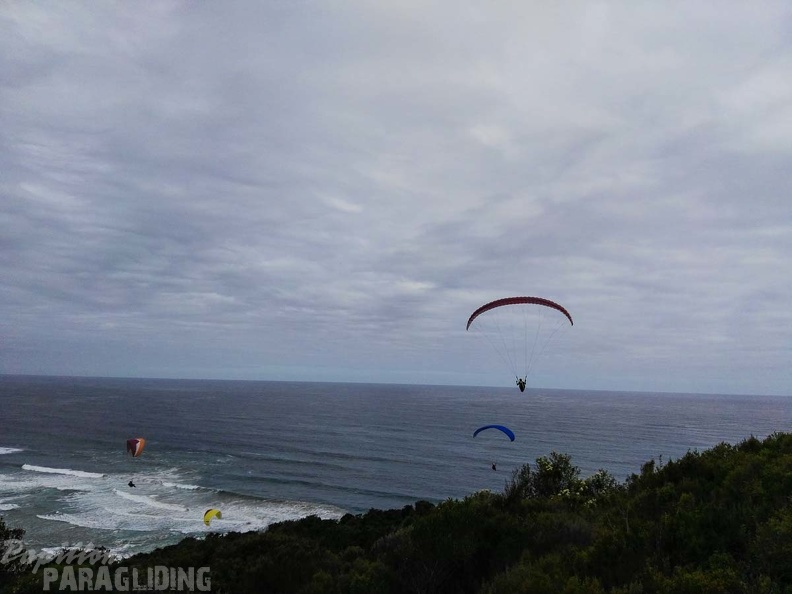 Paragliding Suedafrika FN5.17-433