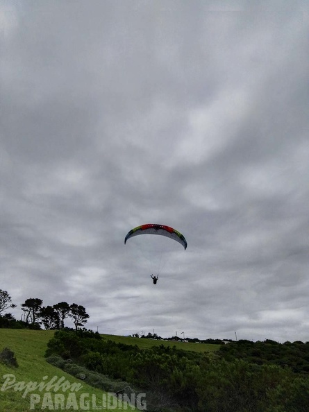 Paragliding Suedafrika FN5.17-437