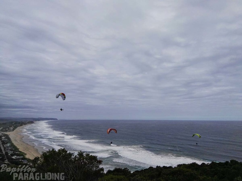 Paragliding Suedafrika FN5.17-453