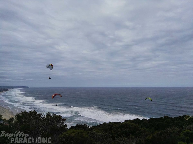 Paragliding Suedafrika FN5.17-454