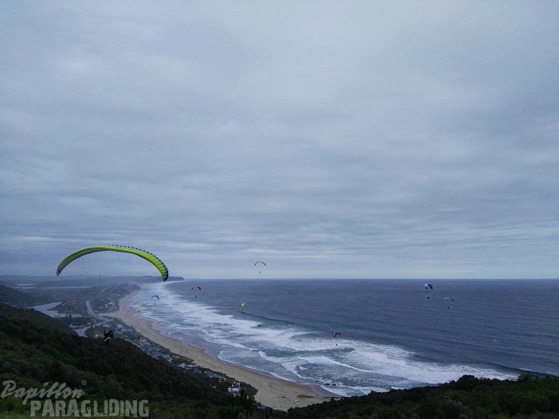 Paragliding Suedafrika FN5.17-464