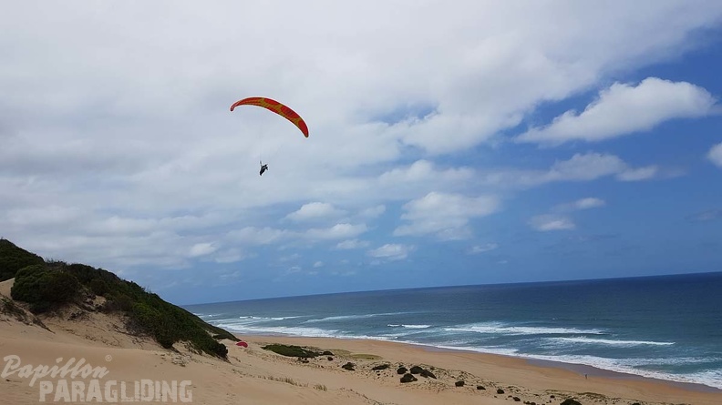 Paragliding-Suedafrika-243.jpg