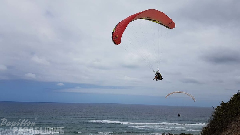Paragliding-Suedafrika-293.jpg