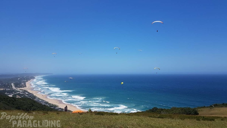 Paragliding-Suedafrika-311.jpg