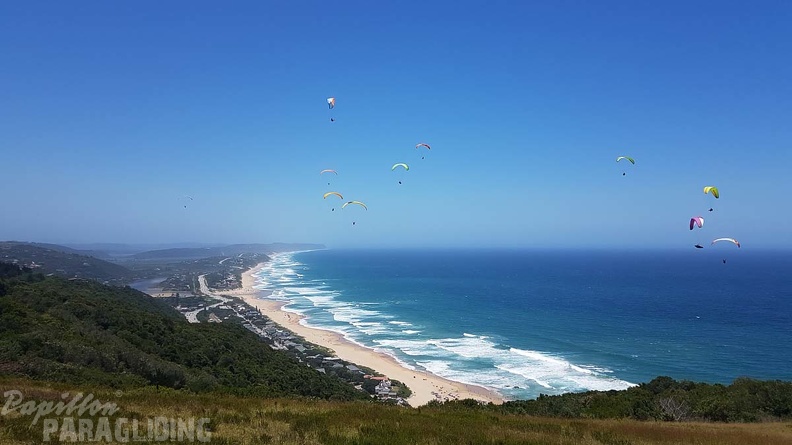 Paragliding-Suedafrika-320.jpg
